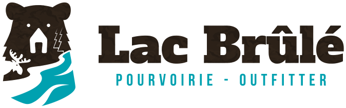 logo bordureBlanche